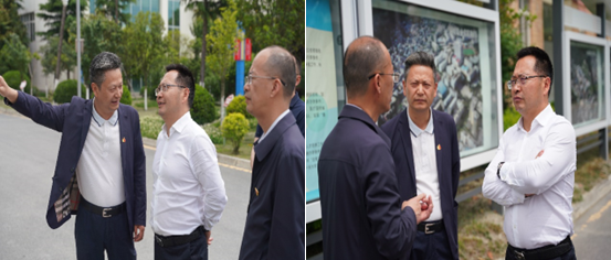 说明: 图片